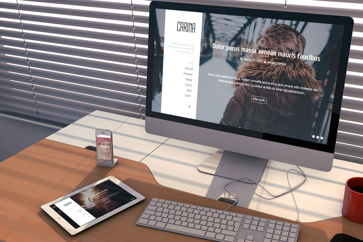 Carina - Modern WordPress Blog Theme, a WordPress Template by Webodo Themes (Photo 5 of 5)