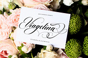 Barlimena Script, a Script Font by IM Studio (Thumbnail 12 of 13)