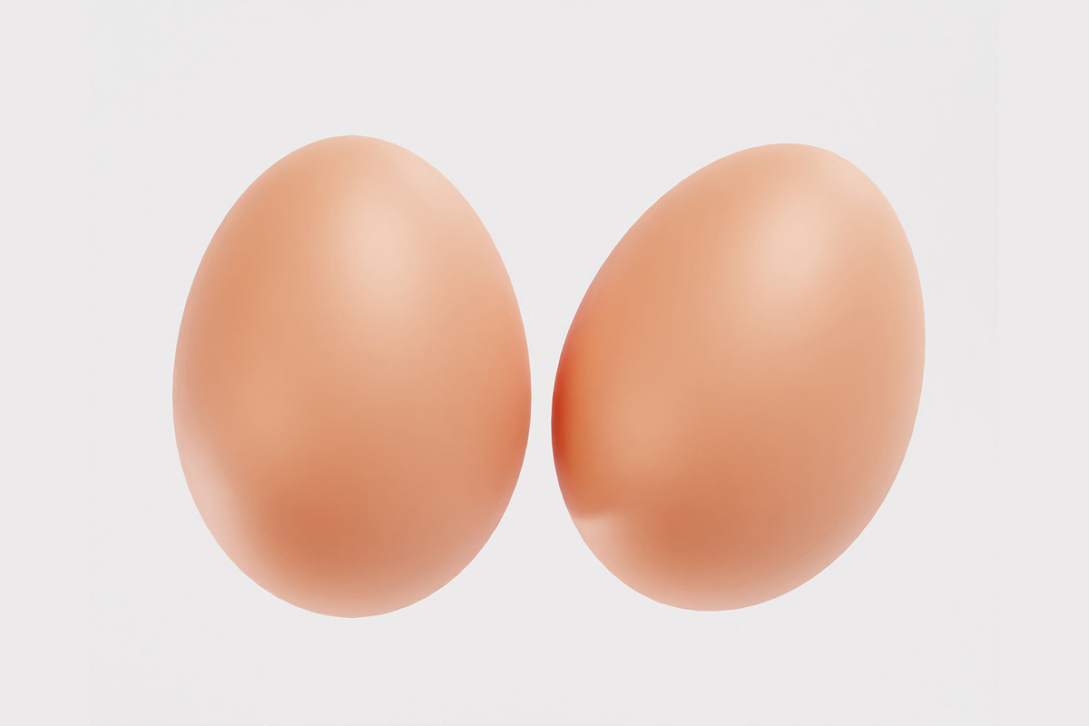 Egg model, an Object 3D Model by fahad121 (Photo 1 of 6)