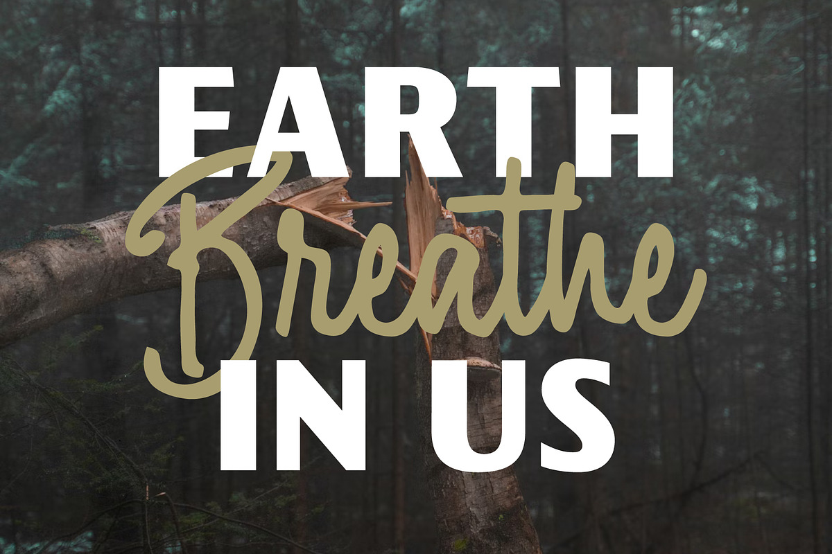 Fairforest - Font Duo, a Handwritten Font by Adam Fathony (Photo 14 of 17)