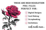 Gothic Valentine's Day Clipart, an Illustration by OK Design (Thumbnail 6 of 6)