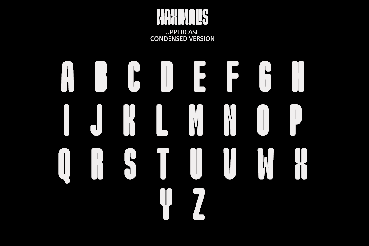 Maximalis, a Sans Serif Font by Say Studio (Photo 11 of 13)