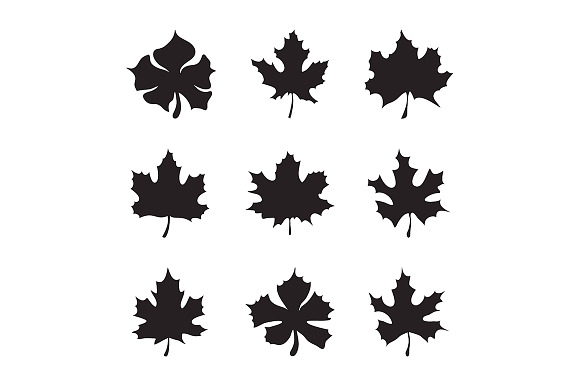 Maple Leaf Silhouette
