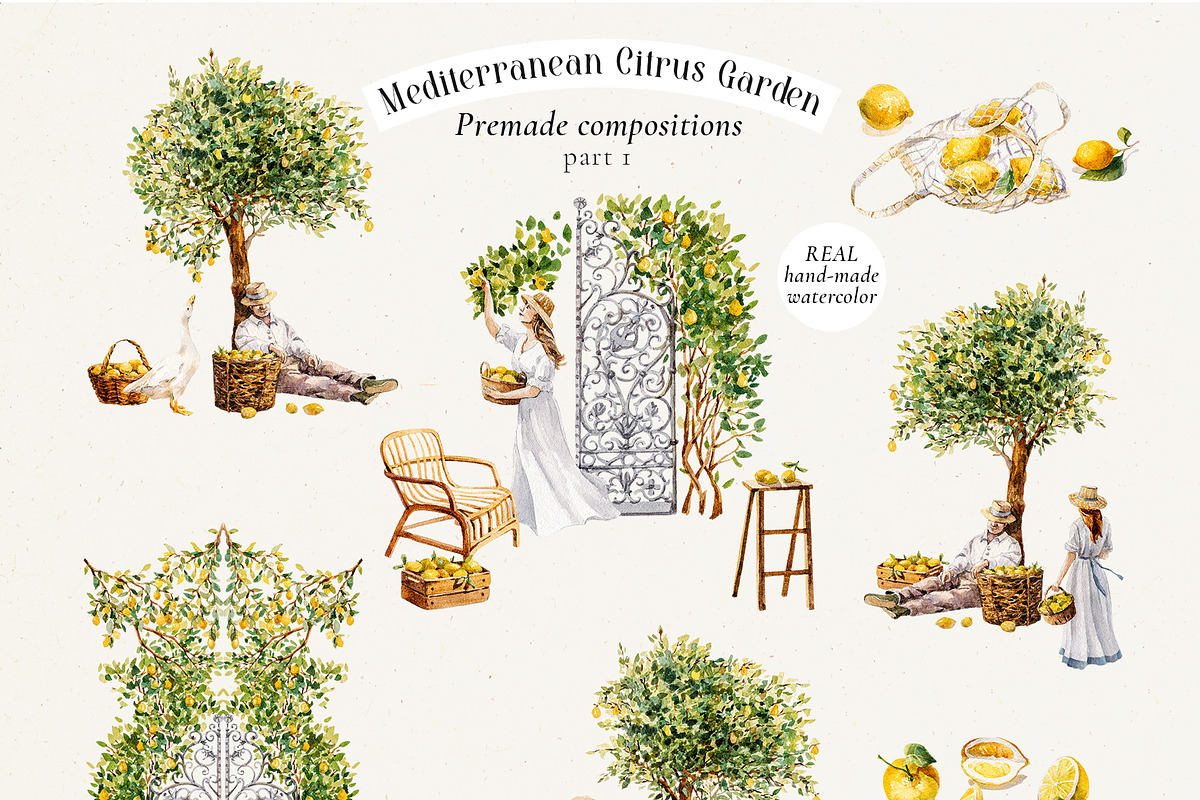 Mediterranean Citrus Garden clipart, a Decorative Illustration by Pamyatka Shop (Photo 6 of 14)