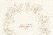 Pencil flowers | delicate drawings, an Illustration by GrafikBoutique (Thumbnail 8 of 9)