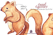 Sweet Squirrels -Huge Watercolor Set, an Animal Illustration by SmallHouseBigPony (Thumbnail 3 of 14)