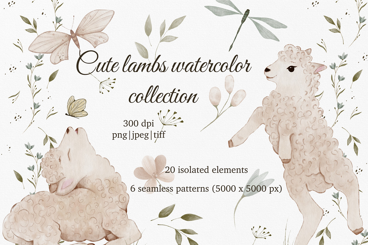 Cute Lambs Watercolor animal set, an Animal Illustration by ZabolotnaArt (Photo 1 of 10)