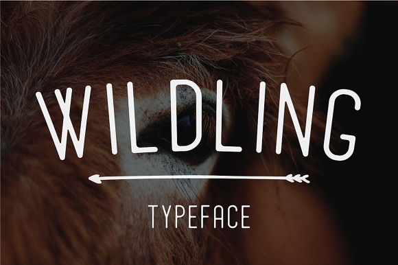 Wildling Typeface preview 6