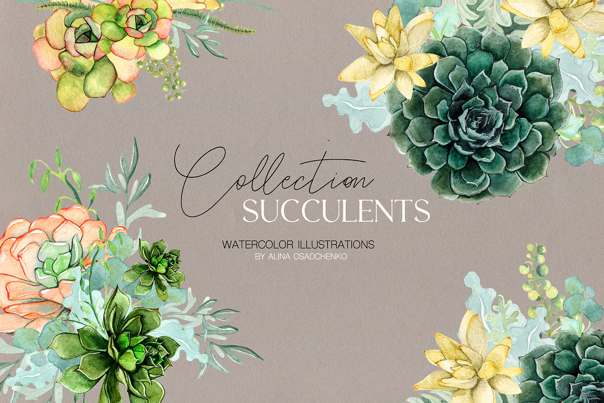 Watercolor Succulents, an Illustration by CrystalinaShop (Photo 1 of 5)
