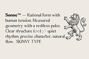 Sonne | 12 Fonts, a Serif Font by Skinny Type (Thumbnail 9 of 11)
