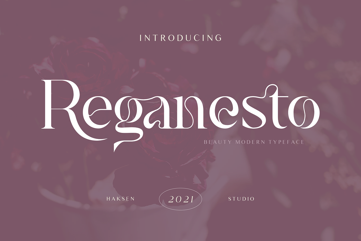 Reganesto - Modern Serif Typeface, a Serif Font by Haksen (Photo 11 of 11)
