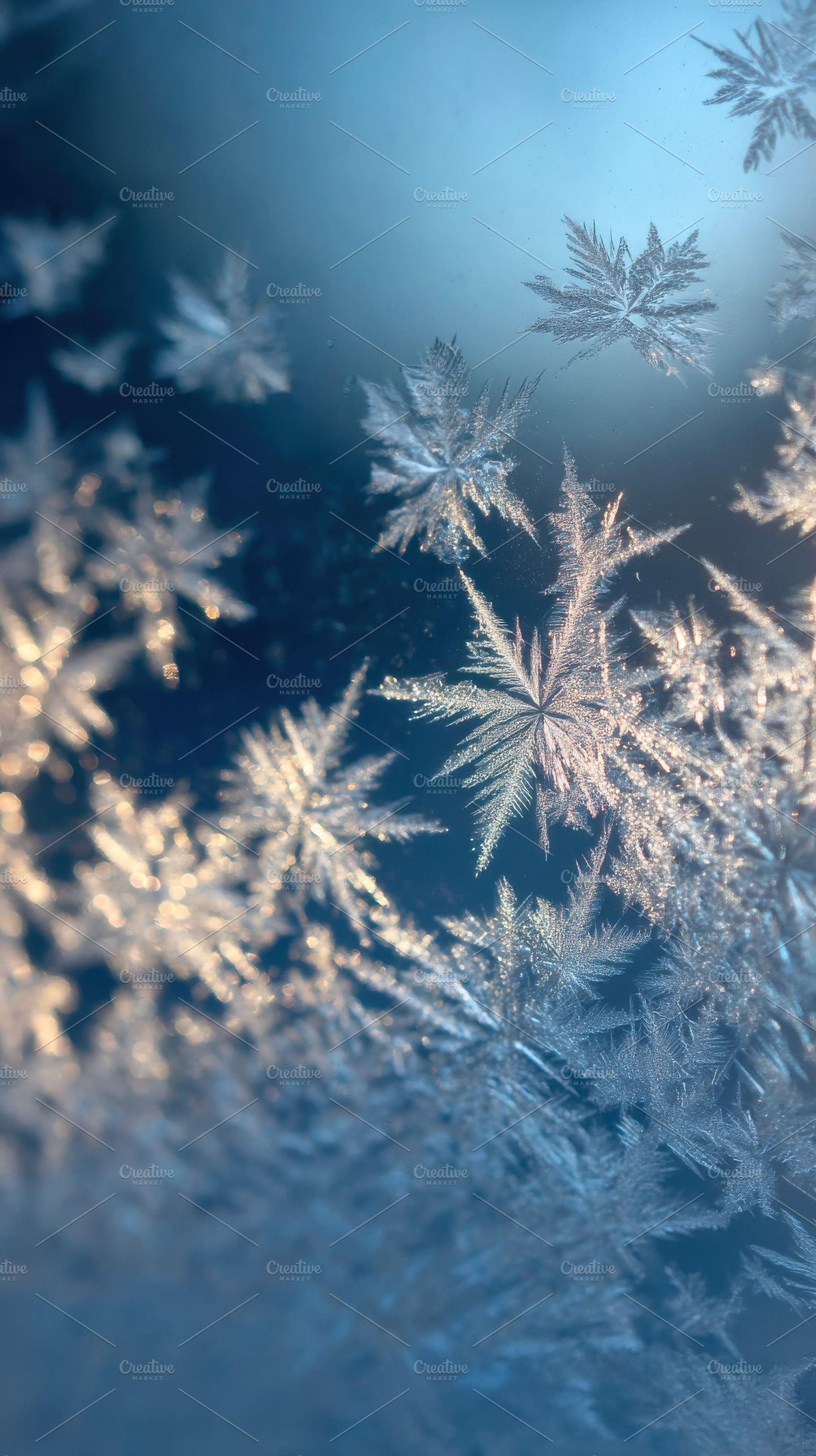 Ice Crystals on Window Glass, a Nature Photo by Virgo Studio