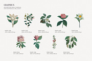 Botanical Elegant English Pattern, an Illustration by likorbut (Thumbnail 6 of 9)
