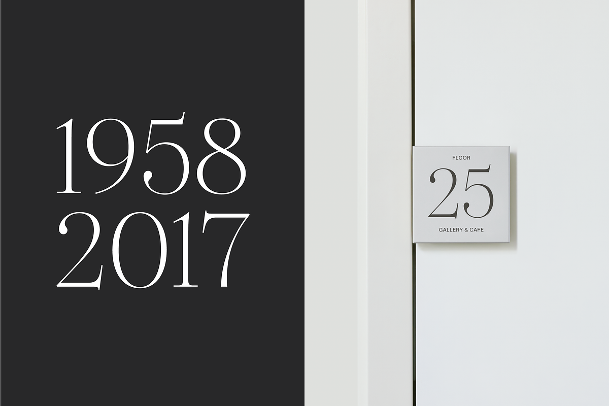 Dupioni Thin - Ligature Serif, a Serif Font by Silktype (Photo 13 of 20)