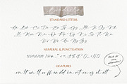 Bondmila Chic Script, a Script Font by DoubleZ Studio (Thumbnail 8 of 13)