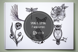 Spring Elements, Birds And Flowers