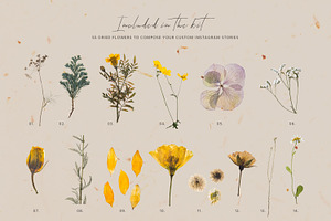 Flower Sketchbook Stories Social Kit