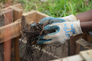 Working Hands