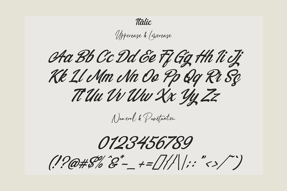 Blackbird - Script Typeface, a Script Font by overlaytemplates (Photo 6 of 7)