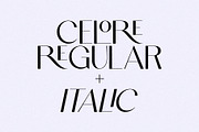 Celore - Essential Pack (6 Fonts), a Sans Serif Font by Schrifted Type (Thumbnail 10 of 10)