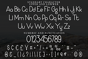 The Race, a Sans Serif Font by FreshTypeINK (Thumbnail 5 of 8)