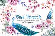 Watercolor Peacock & Floral Clipart, a Decorative Illustration by STASIstudio (Thumbnail 1 of 3)