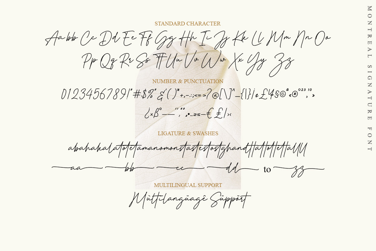 Montreal Signature, a Script Font by MJB Letters
