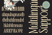 Garugis Modern Display Serif, a Serif Font by timelesstype.co (Thumbnail 19 of 20)