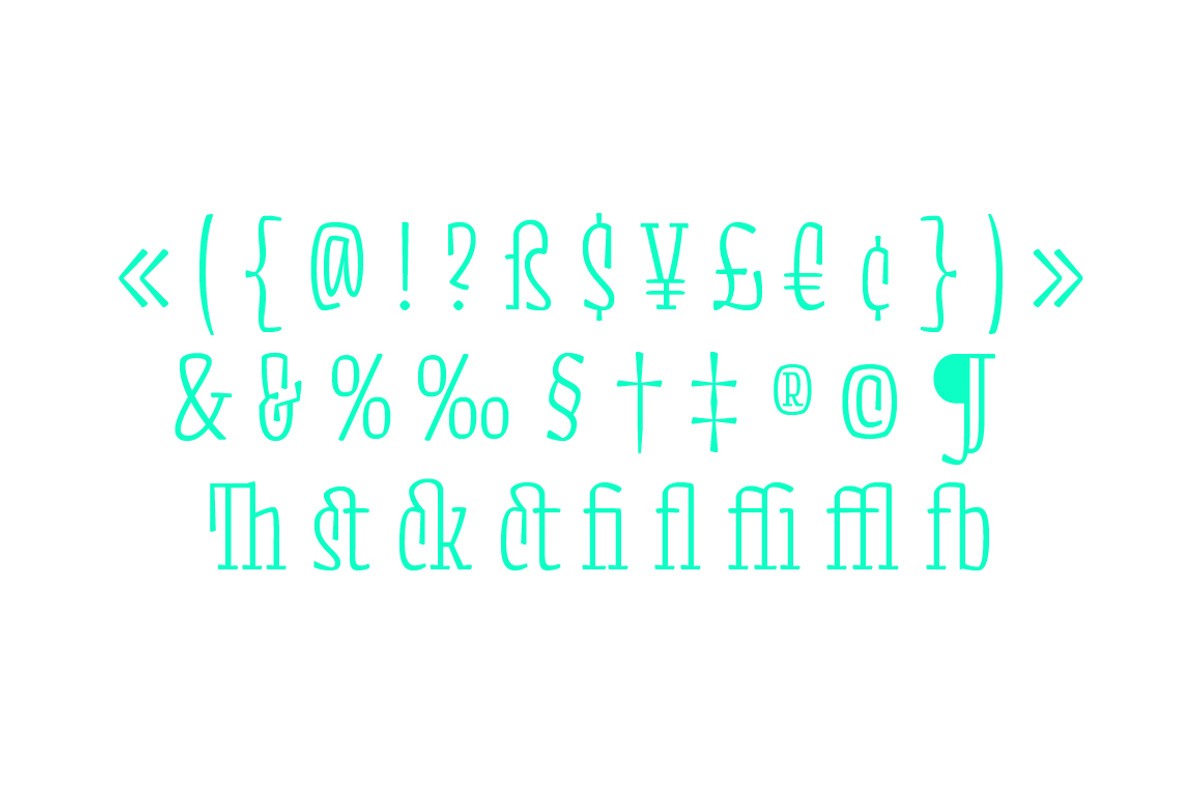 Minton52 font, a Serif Font by Yury Veselov (Photo 8 of 9)