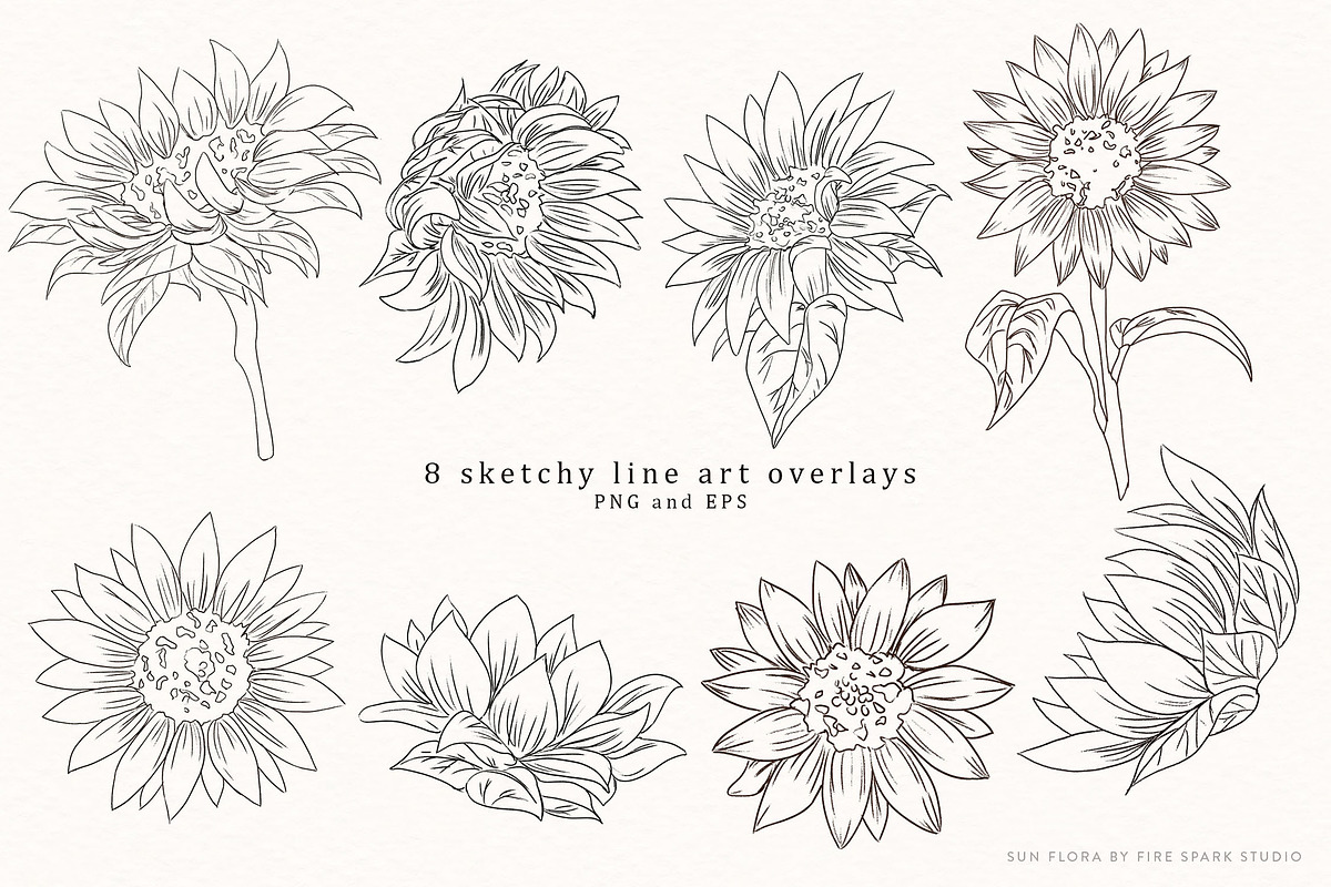 Sunflower Watercolor Illustrations, an Illustration by Fire Spark Studio (Photo 6 of 10)