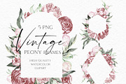 Watercolor Vintage Peonies, an Illustration by Olga Koelsch (Thumbnail 7 of 15)