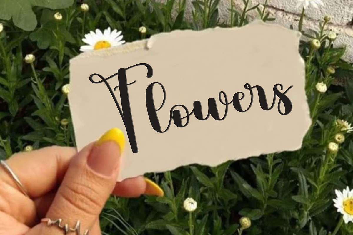 Sample Vacation, a Handwritten Font by FreshTypeINK (Photo 4 of 8)