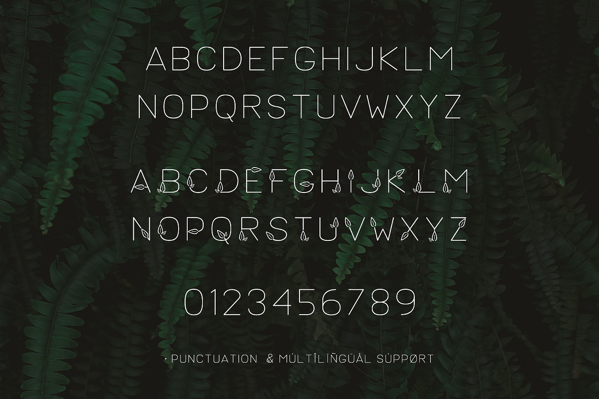 Lush Sans Font with Leaves, a Font by Beck McCormick (Photo 7 of 7)