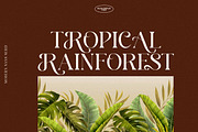 Rosari Serif Font, a Script Font by Luna Shop (Thumbnail 9 of 12)