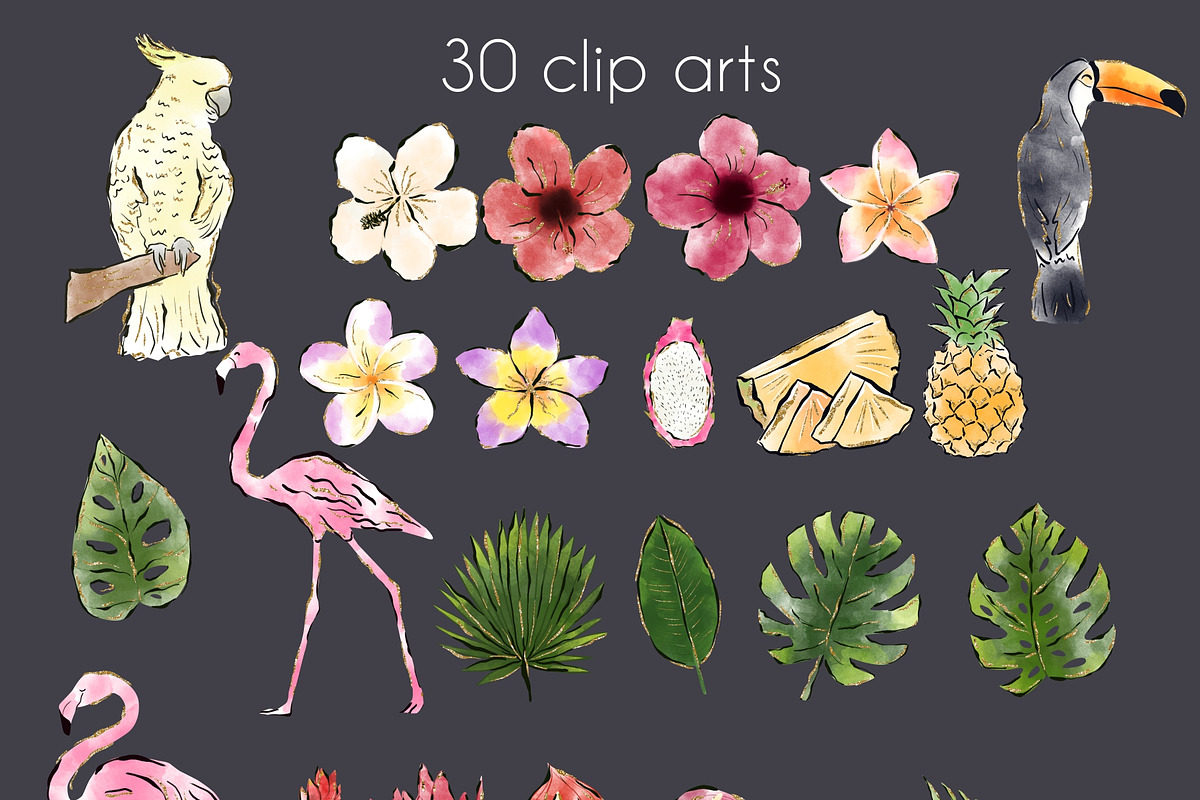 Tropical Life Clip arts & Patterns, a Graphic by Anel_S (Photo 2 of 6)