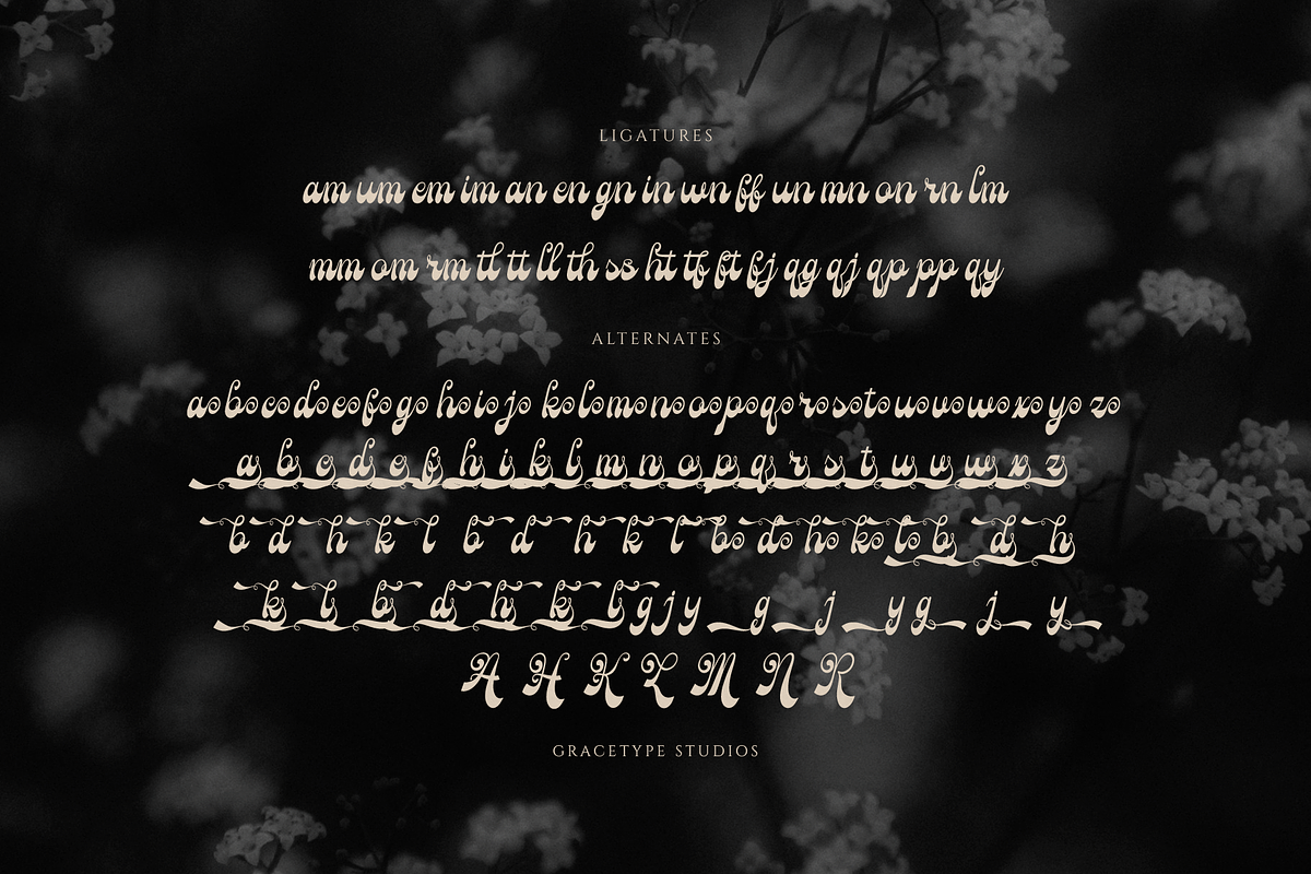 Rolling Rhapsody Handwritten Script, a Script Font by gracetype_studio (Photo 12 of 12)