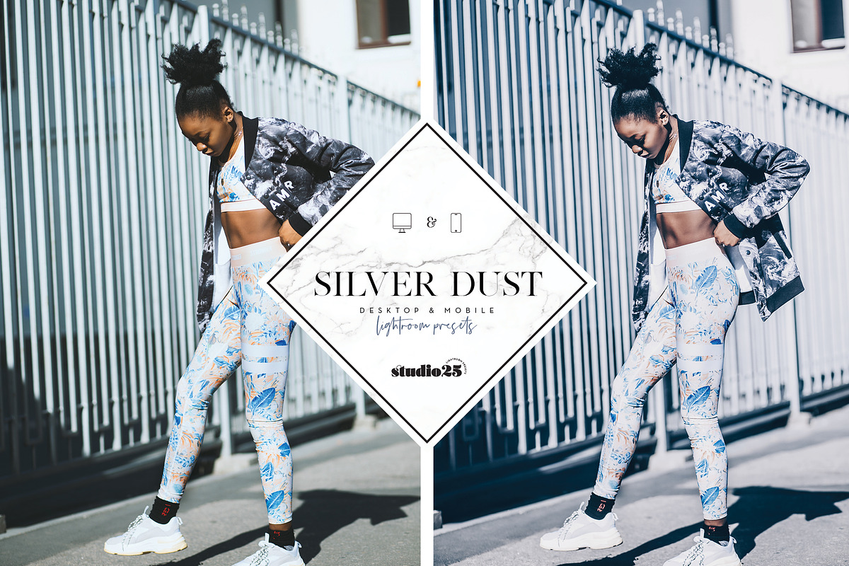 2 Silver lightroom presets, a Plug-in Add-On by studio25 (Photo 2 of 7)