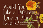 Angella Elegant Serif Font, a Serif Font by Perfectype (Thumbnail 4 of 8)