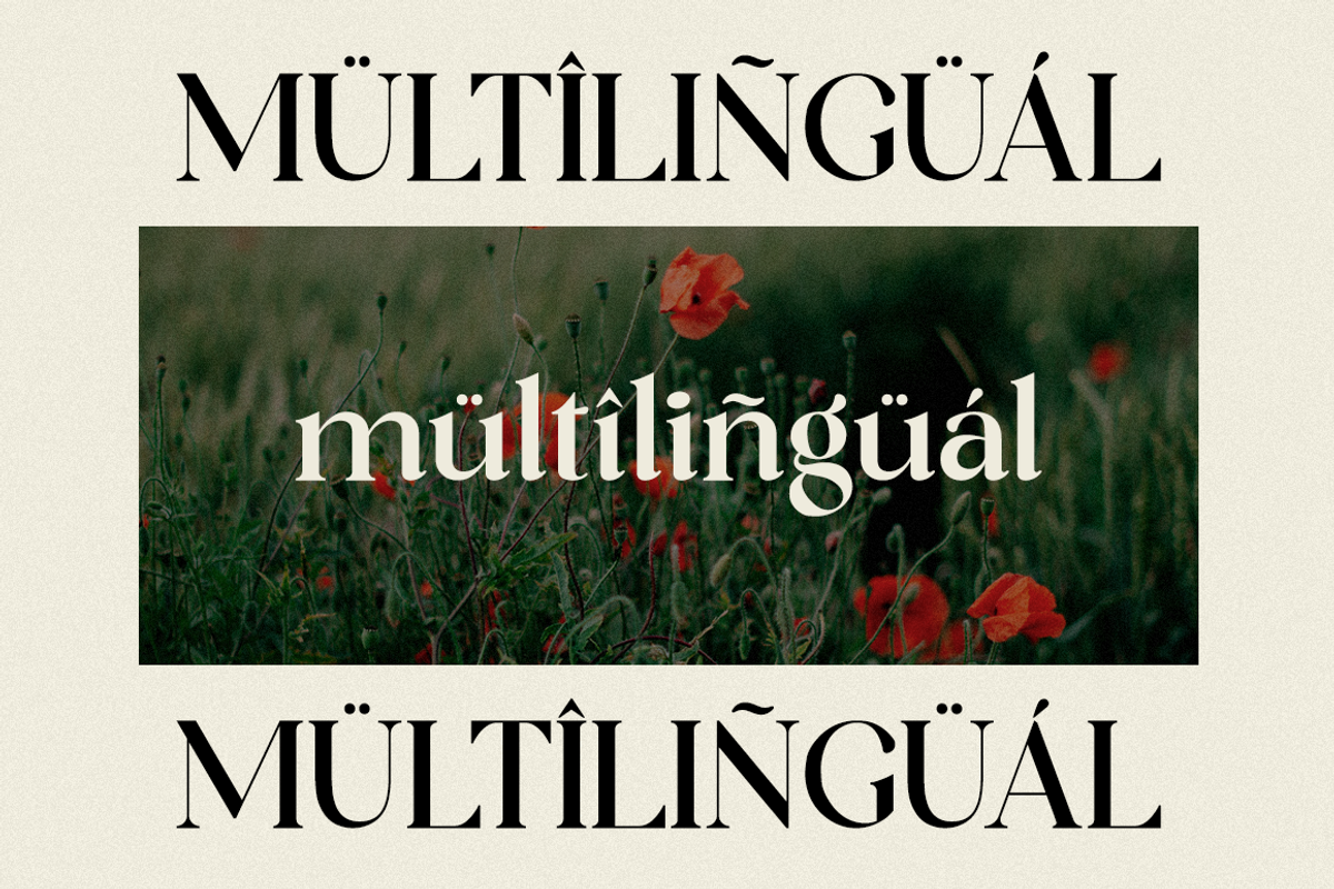 Lostangen - Elegant Classy Font, a Serif Font by RockboyStd (Photo 8 of 12)