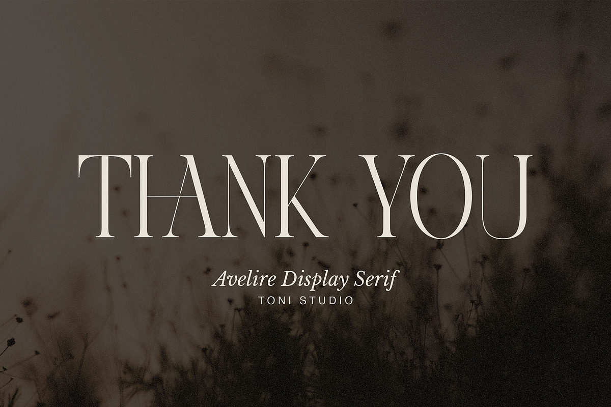 Avelire-modern ligature, a Serif Font by ToniStudio (Photo 11 of 11)