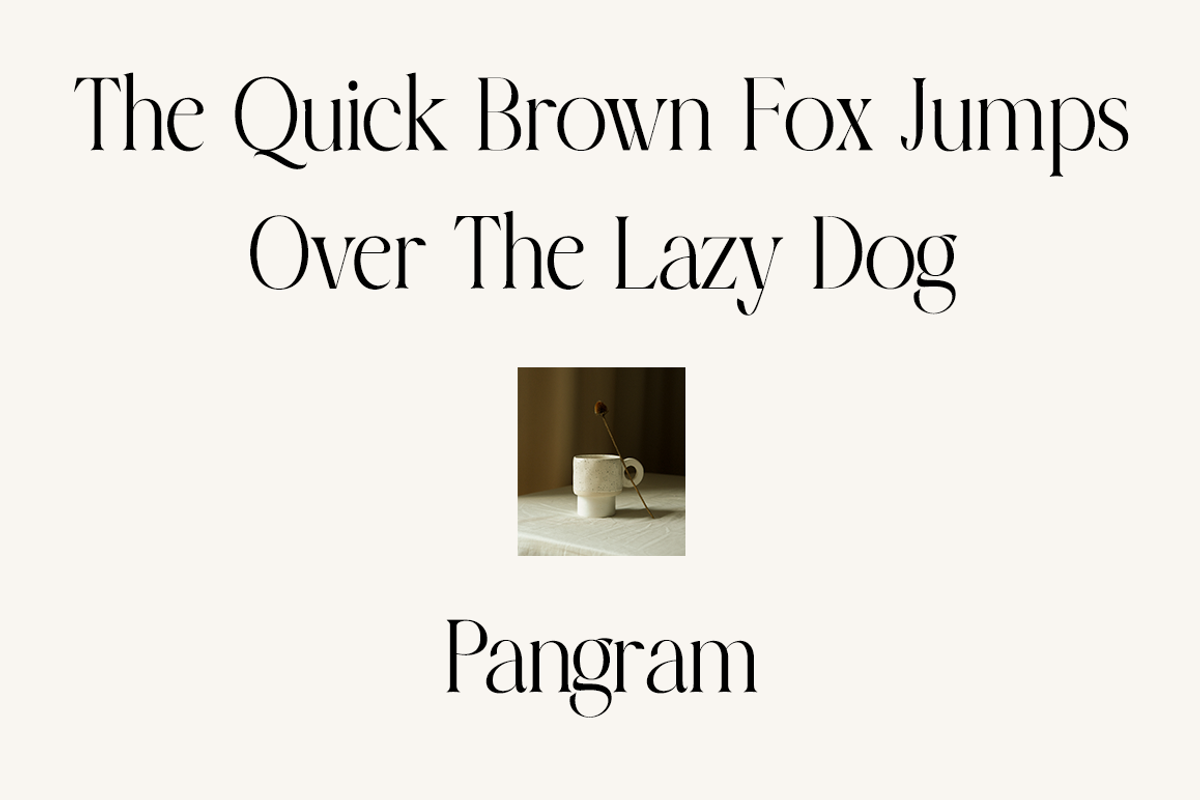Charlotten - Elegant & Stylish Serif, a Serif Font by RockboyStd (Photo 7 of 12)