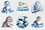Watercolor Arctic Animals Clipart, an Animal Illustration by Rose Art (Thumbnail 4 of 4)