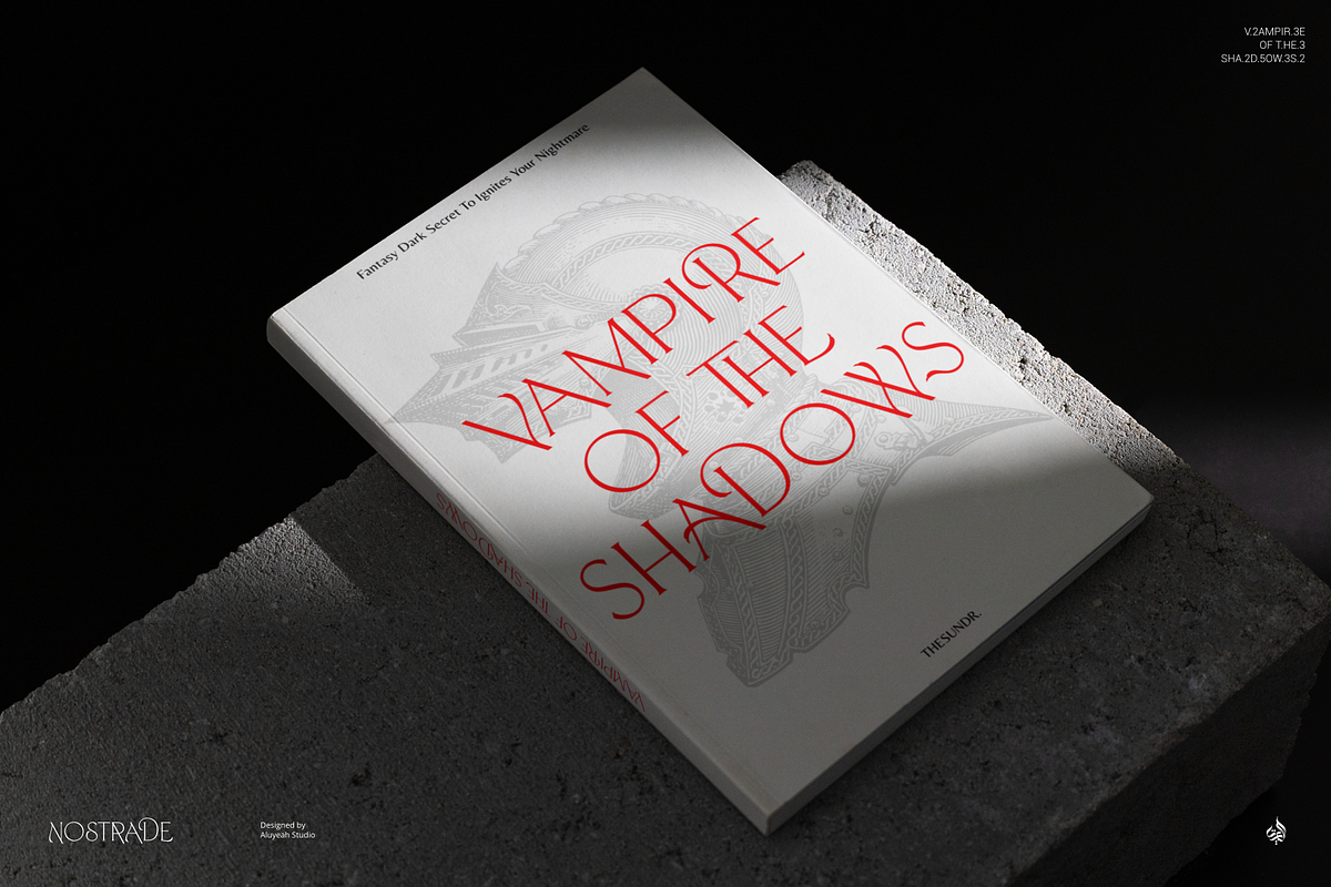 Nostrade, a Serif Font by Aluyeah Studio (Photo 3 of 15)