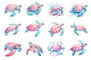 Coastal Sea Turtle Clipart, an Illustration by Dream Creation (Thumbnail 2 of 6)