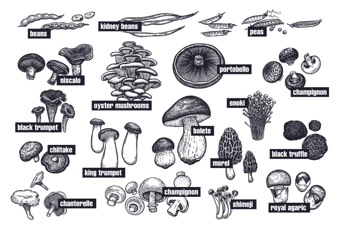 Vegetables and mushrooms., a Food Illustration by MarinaVorontsova (Photo 7 of 10)