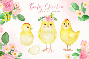 Baby Chicken. Watercolor Clipart