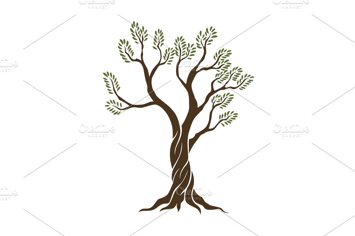 Olive trees with branches and, an Object Illustration by Things for designers