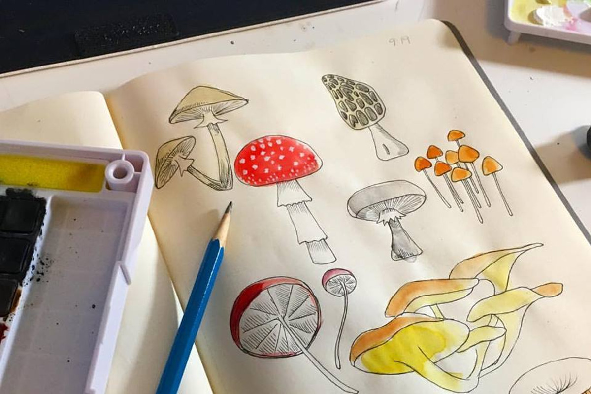 Mighty Mushrooms Watercolor Clip Art, an Illustration by MyNatureGraphics (Photo 3 of 3)