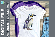 Ocean Animals Illustration Bundle, an Animal Illustration by Enliven Designs (Thumbnail 5 of 8)