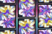 3D Loops & Grids, an Object Graphic by angelainthefields (Thumbnail 10 of 10)